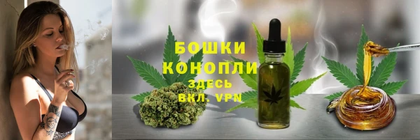 винт Баксан