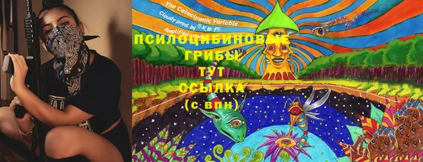 первитин Белоозёрский