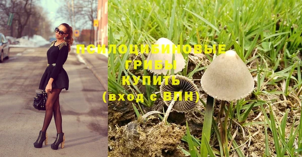 соль ск Балабаново